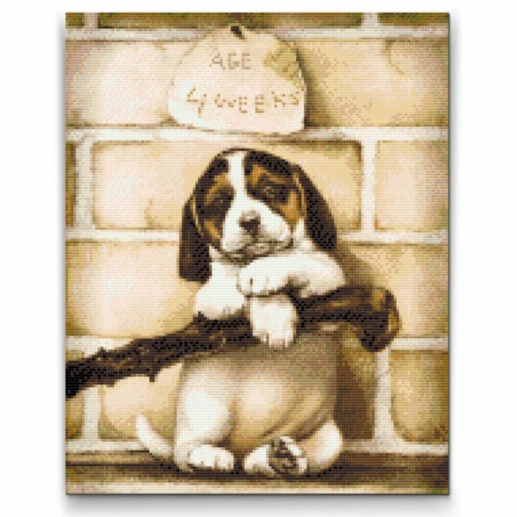 Four Week Old Puppy Diamond Painting Kit by Nordik Atelier