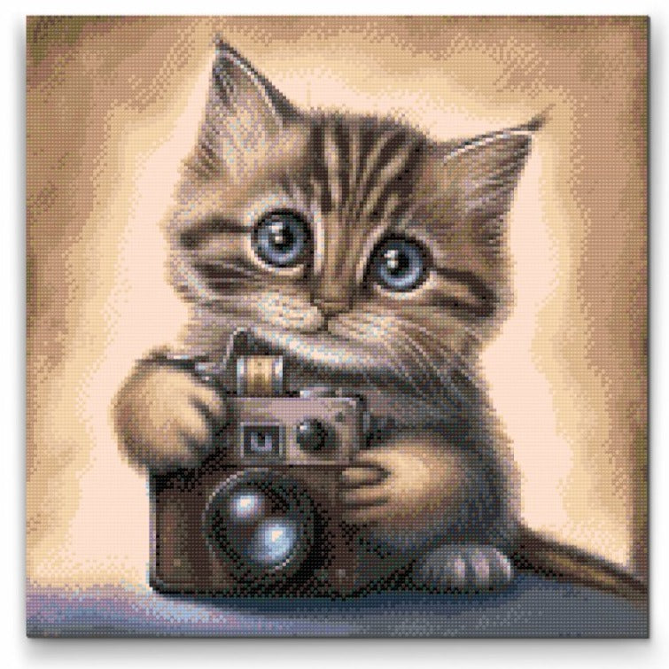 Cat with Camera Diamond Painting Kit by Nordik Atelier
