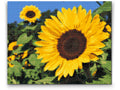 Sunflower Bloom Diamond Painting Kit by Nordik Atelier